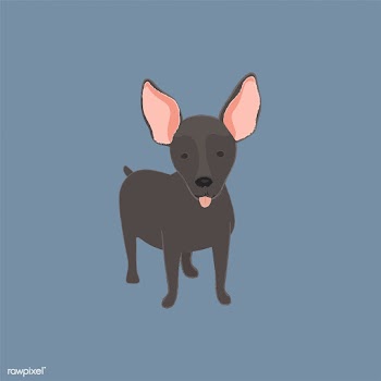 Cute illustration of a mini pinscher dog | Free stock vector - 60577