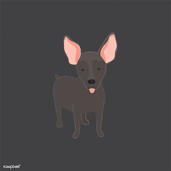 Cute illustration of a mini pinscher dog | Free stock vector - 60624