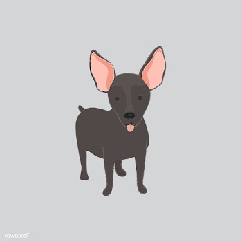 Cute illustration of a mini pinscher dog | Free stock vector - 60628