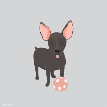 Cute illustration of a mini pinscher dog | Free stock vector - 60633