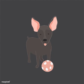 Cute illustration of a mini pinscher dog | Free stock vector - 60644