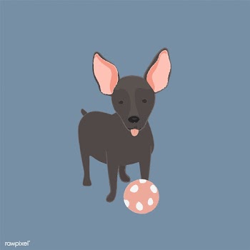 Cute illustration of a mini pinscher dog | Free stock vector - 60652