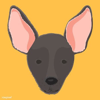 Cute illustration of a mini pinscher dog | Free stock vector - 60684