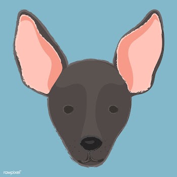 Cute illustration of a mini pinscher dog | Free stock vector - 60720