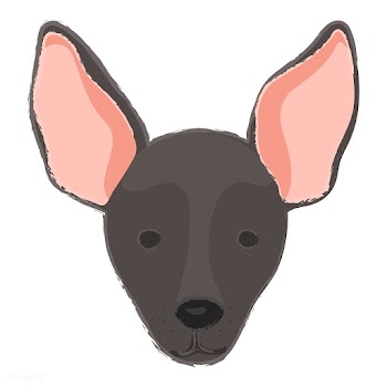 Cute illustration of a mini pinscher dog | Free stock vector - 60721