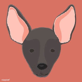 Cute illustration of a mini pinscher dog | Free stock vector - 60740