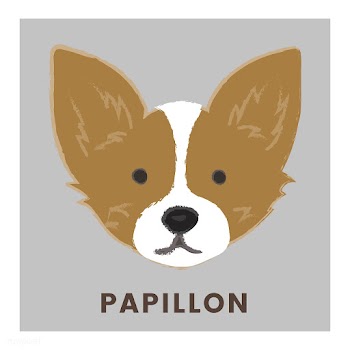 Cute illustration of a papillon dog | Free stock vector - 60676