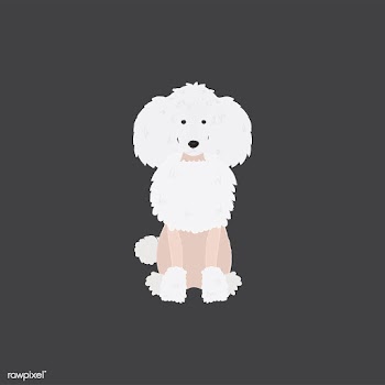 Cute illustration of a poodle dog | Free stock vector - 60574