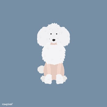 Cute illustration of a poodle dog | Free stock vector - 60595