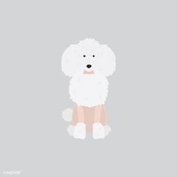 Cute illustration of a poodle dog | Free stock vector - 60599