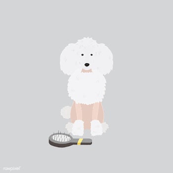 Cute illustration of a poodle dog | Free stock vector - 60634