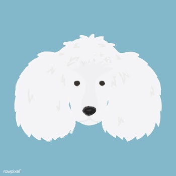 Cute illustration of a poodle dog | Free stock vector - 60688