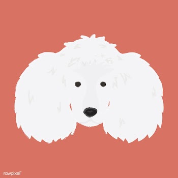 Cute illustration of a poodle dog | Free stock vector - 60742