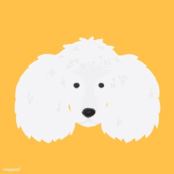 Cute illustration of a poodle dog | Free stock vector - 60743