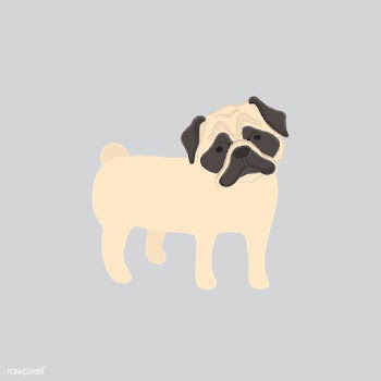 Cute illustration of a pug dog | Free stock vector - 60469