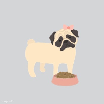 Cute illustration of a pug dog | Free stock vector - 60572