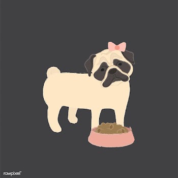 Cute illustration of a pug dog | Free stock vector - 60592