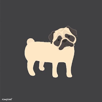 Cute illustration of a pug dog | Free stock vector - 60607