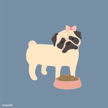 Cute illustration of a pug dog | Free stock vector - 60618