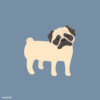 Cute illustration of a pug dog | Free stock vector - 60638
