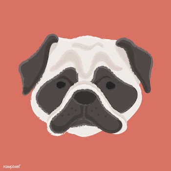 Cute illustration of a pug dog | Free stock vector - 60675