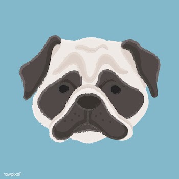 Cute illustration of a pug dog | Free stock vector - 60685