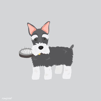 Cute illustration of a schnauzer dog | Free stock vector - 60631