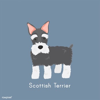Cute illustration of a scottish terrier dog | Free stock vector - 60434