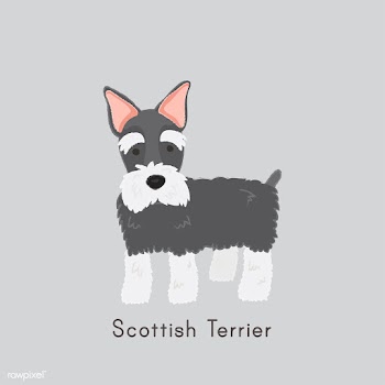 Cute illustration of a scottish terrier dog | Free stock vector - 60458