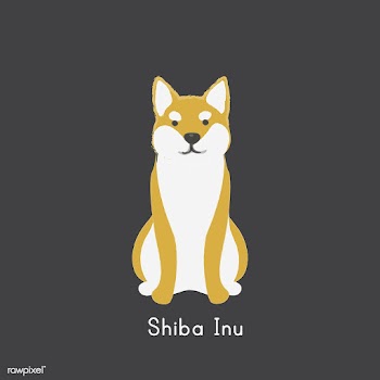 Cute illustration of a shiba inu dog | Free stock vector - 60406