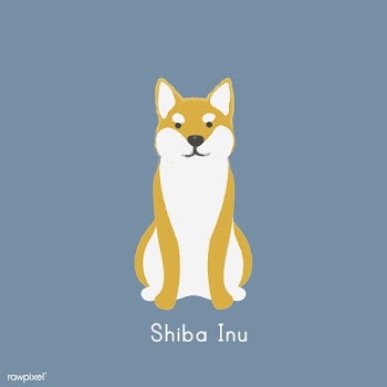 Cute illustration of a shiba inu dog | Free stock vector - 60426