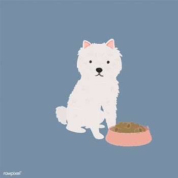 Cute illustration of a westie dog | Free stock vector - 60613