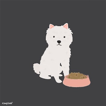 Cute illustration of a westie dog | Free stock vector - 60622