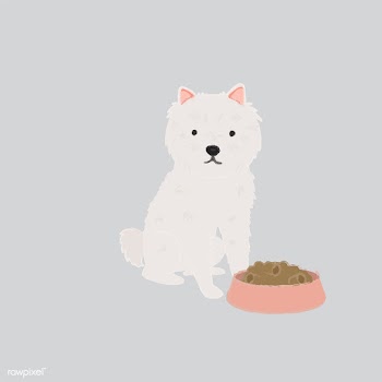 Cute illustration of a westie dog | Free stock vector - 60635