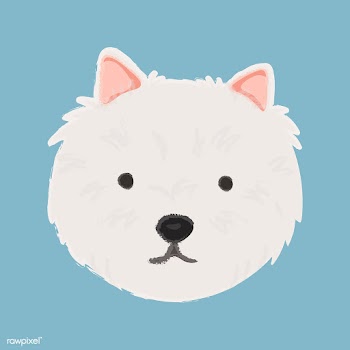Cute illustration of a westie dog | Free stock vector - 60741