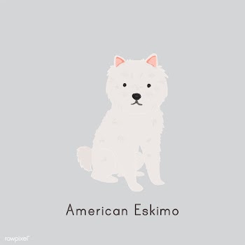 Cute illustration of an american eskimo dog | Free stock vector - 60404