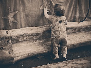 Cute Kid Exploring Free Photo 