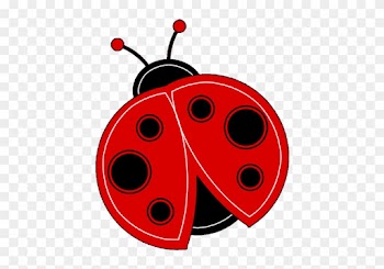 Cute Ladybug Clipart - Cute Ladybug Transparent Background