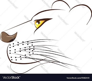 Cute lioness head vector image
