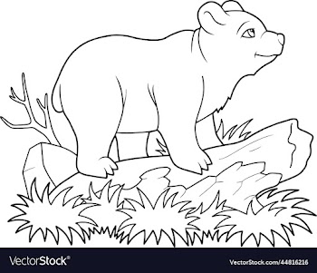 cute little bear