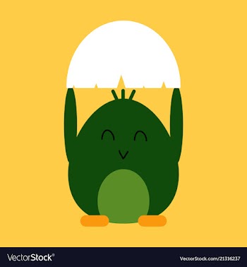 Cute little chick in cracked egg vector image