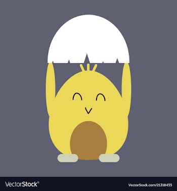 Cute little chick in cracked egg vector image
