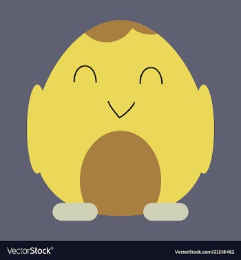 Cute little chick in cracked egg vector image