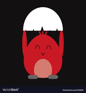 Cute little chick in cracked egg vector image