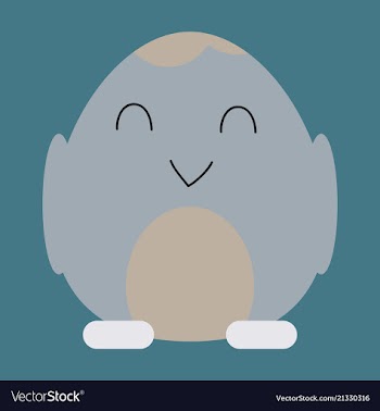 Cute little chick in cracked egg vector image