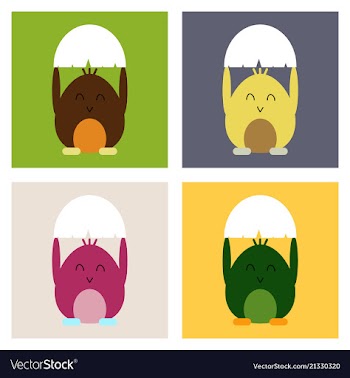 Cute little chick in cracked egg vector image