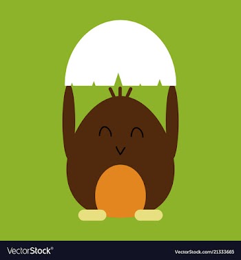Cute little chick in cracked egg vector image