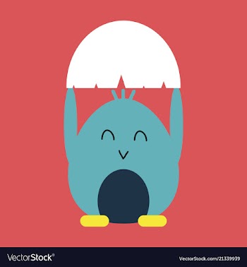 Cute little chick in cracked egg vector image