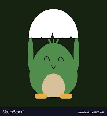 Cute little chick in cracked egg vector image