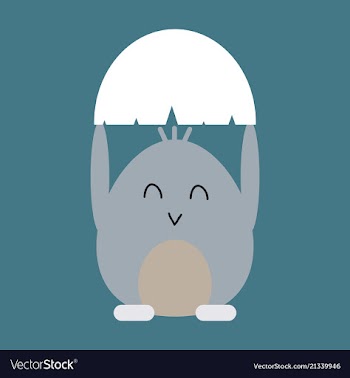 Cute little chick in cracked egg vector image